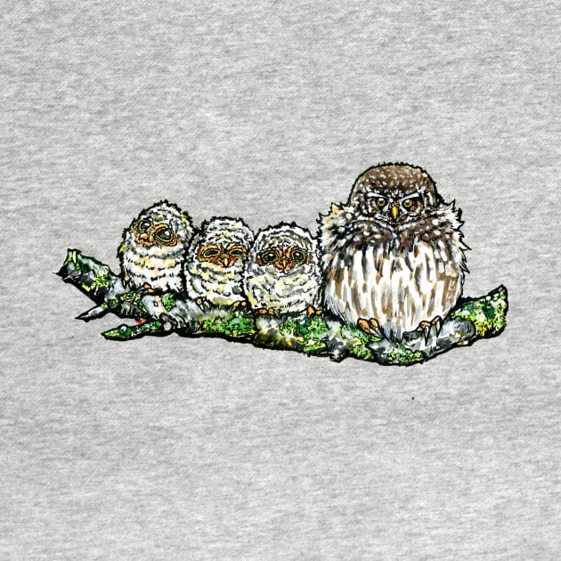 Pygmy Puffballs Northern Pygmy-owl by 10000birds